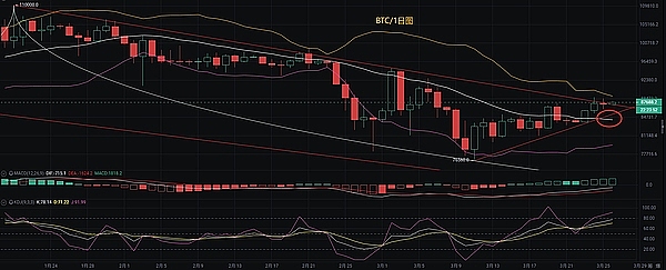 波场TRON迎来里程碑时刻：1.96亿用户见证区块链新纪元