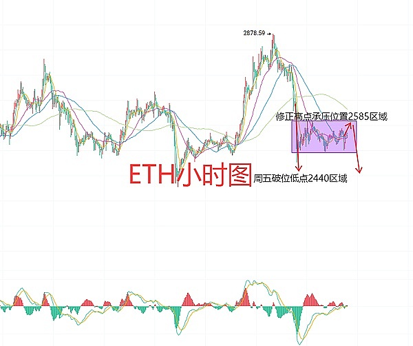 山寨币狂欢季：老韭菜的生存指南