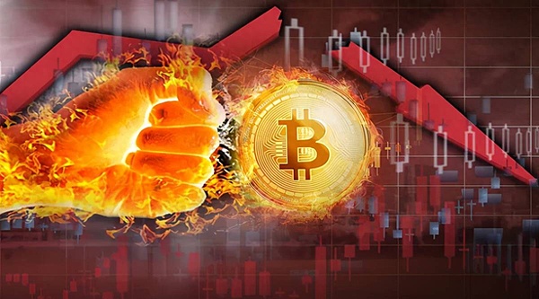 经济学大咖的打脸时刻：哈佛教授为何错看比特币？