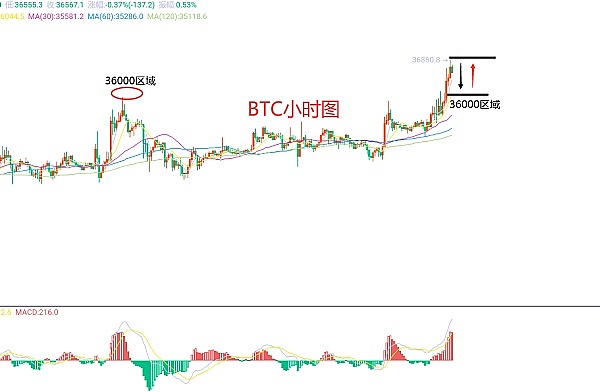 手把手教你开发首个Cartesi DApp：从零到一的完整指南