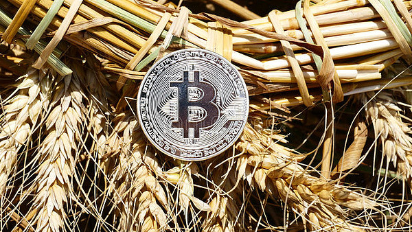 从震荡行情中寻找机会：我对当前数字货币走势的思考