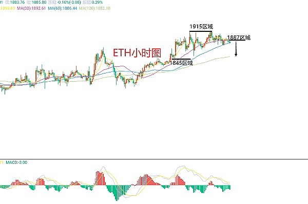 币圈猎手：精准把握暴跌良机，500点暴利轻松到手