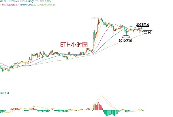 谁会成为下一个百倍币王者？这匹黑马不容错过！