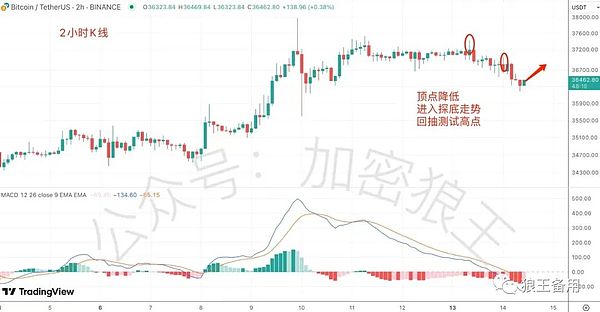 比特币站上4万大关，真正的狂欢可能才刚开始？