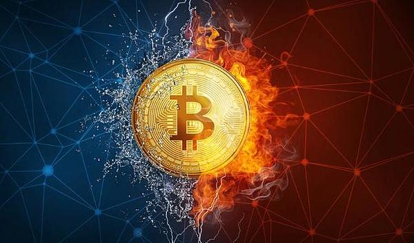 娱乐圈与币圈的联姻：当明星站台遇上金融骗局